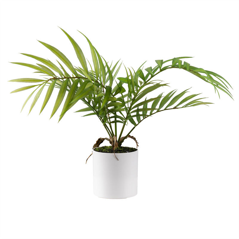 40cm Artificial Fern Tree in White Plastic Pot
